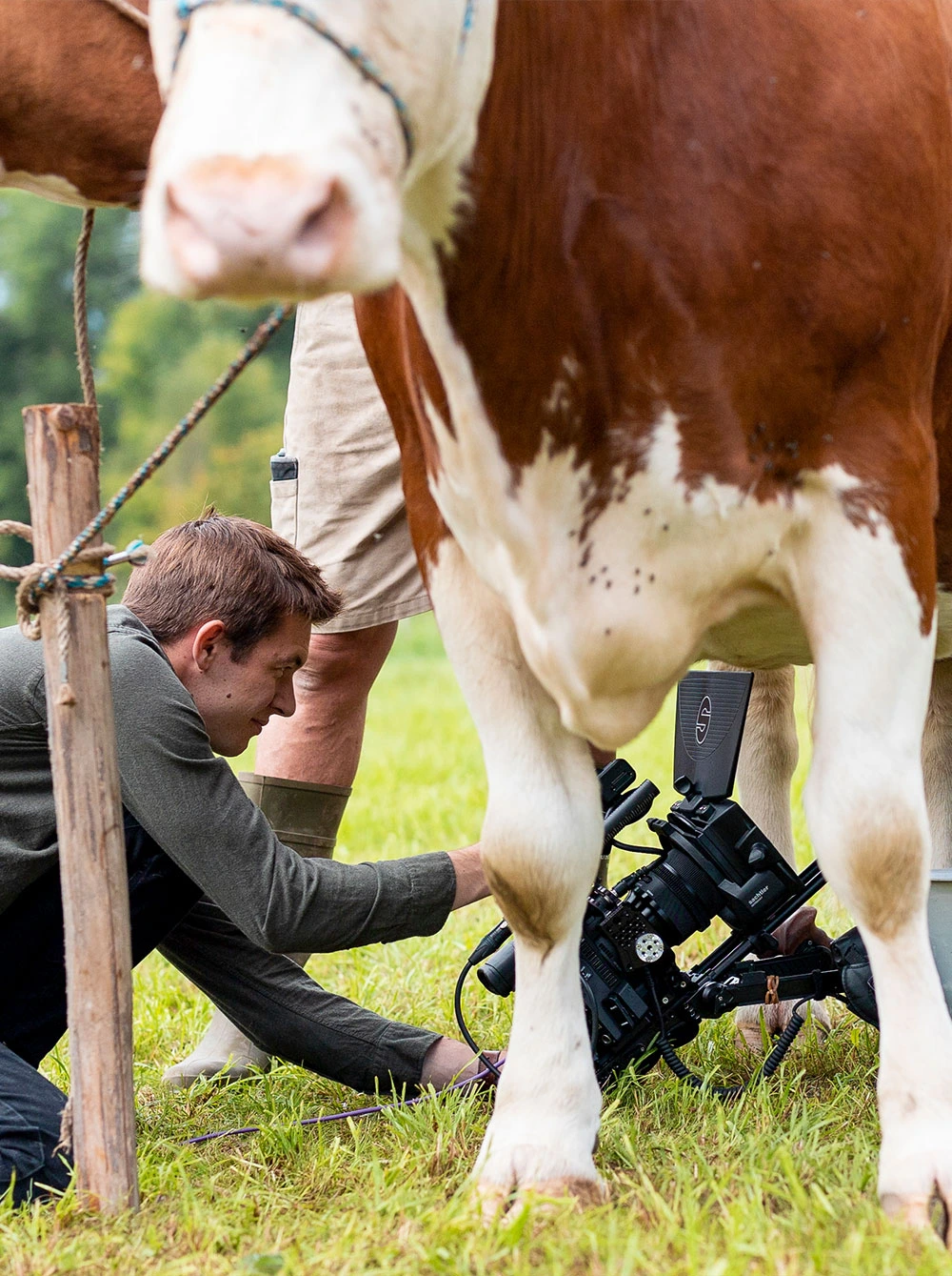 Corporate Foto und Video Paket Schweiz &ndash; Webinhalte aus einer Produktion