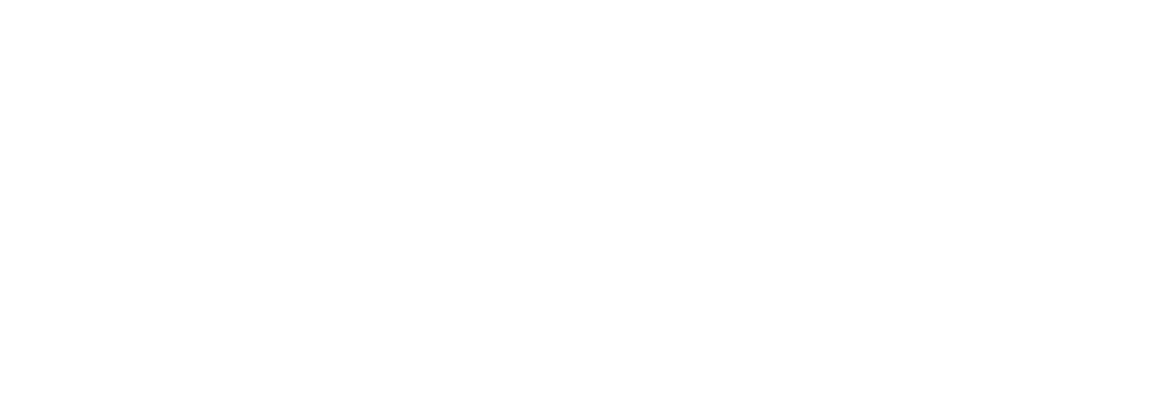 Haag Streit Group